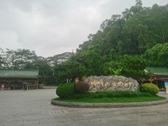 -顺峰山公园