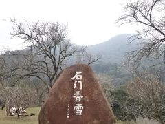 -广州市石门国家森林公园