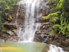 -九龙江国家森林公园