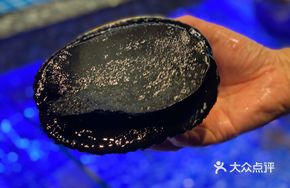 Black Gold Abalone Seafood Arrangement