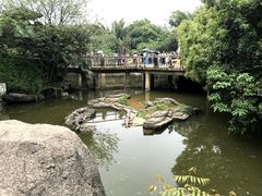 -南昌动物园