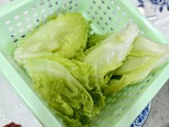 罗马生菜-杏花吴记牛肉火锅