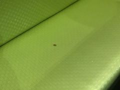 -清真·锦翔炝锅鱼(明德门店)