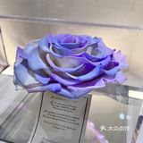 大良首家｜花艺咖啡店M Roser💐☕️