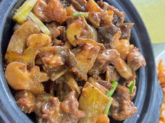 -煲煲掂风味煲仔饭餐厅(西区店)