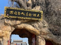 -大槐树寻根祭祖园