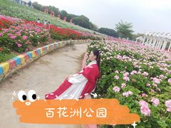 -松山湖梦幻百花洲