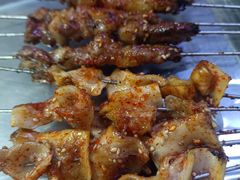 -小老虎