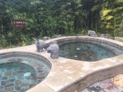 -中家鑫园温泉酒店鑫悦汤泉