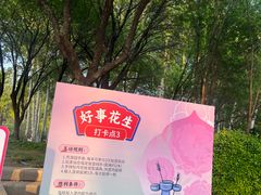 -仁和公园(顺义区)