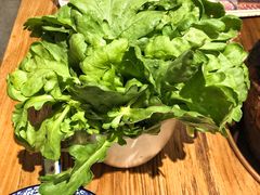 广东茼蒿-十六蒲(桂林路店)