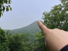 -杭州半山国家森林公园