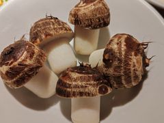 松茸小芋-探鱼·鲜青椒爽麻烤鱼(中山大信新都汇店)