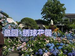-无锡蠡湖国家湿地公园-蠡园