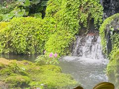 -Chom Cafe and Restaurant