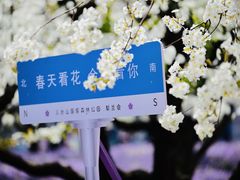 -江苏三台山国家森林公园