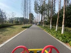 -昆山城市生态森林公园