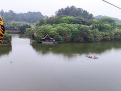 -广州长隆野生动物世界