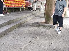 -庐山风景区花径公园