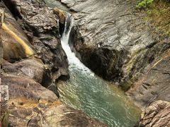 -广州白江湖森林公园