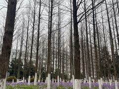 -河海大学(江宁校区)