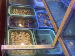 -小锅菜(颛兴路店)
