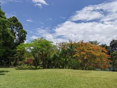 -中国科学院西双版纳热带植物园