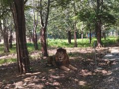 -秦皇岛野生动物园