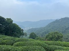 -西湖风景区十里琅珰-五云山