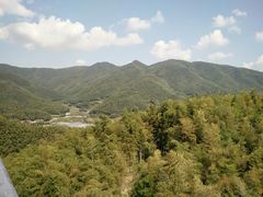 -宁波浙东大竹海景区