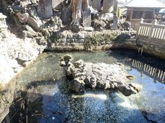 -成田山新胜寺