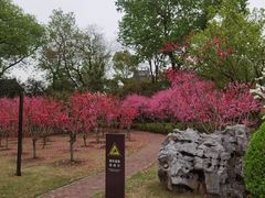 -上海市龙华烈士陵园