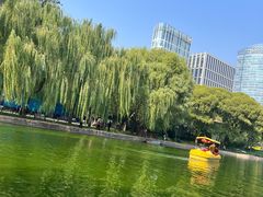 -团结湖公园