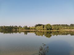 -东郊湿地公园