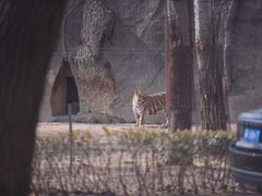 -秦皇岛野生动物园