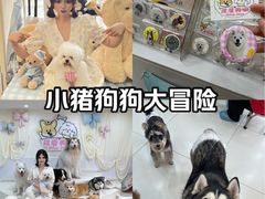 -汪说·狗咖·拼豆·宠物周边DIY(旺城大厦店)