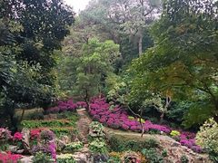 -桃花涧
