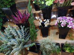 -森野花艺培训·企业团建活动沙龙