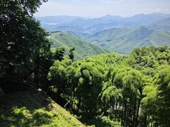 -莫干山风景区