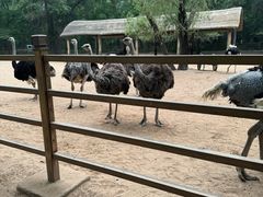 -秦皇岛野生动物园