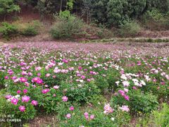 -金堂县云顶石城风景区