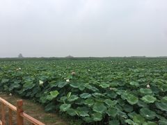 景点-处女泉风景名胜区