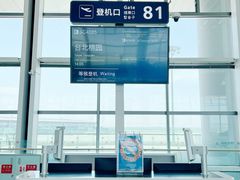 -青岛胶东国际机场