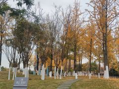 -府河摄影公园