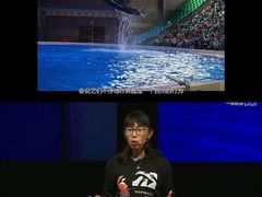 -芜湖新华联大白鲸海洋公园