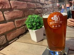 -Boxing Cat Brewery拳击猫精酿啤酒馆(永福店)