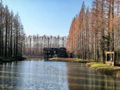 -黄海国家森林公园