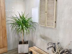 -Artisan匠匠(中央大街店)