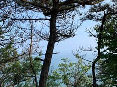 -燕窝岭