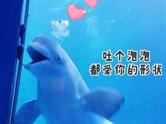 -多彩贵州城极地海洋世界